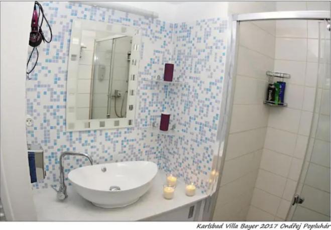 Apartman Vila Bayer カルロヴィ・ヴァリ エクステリア 写真
