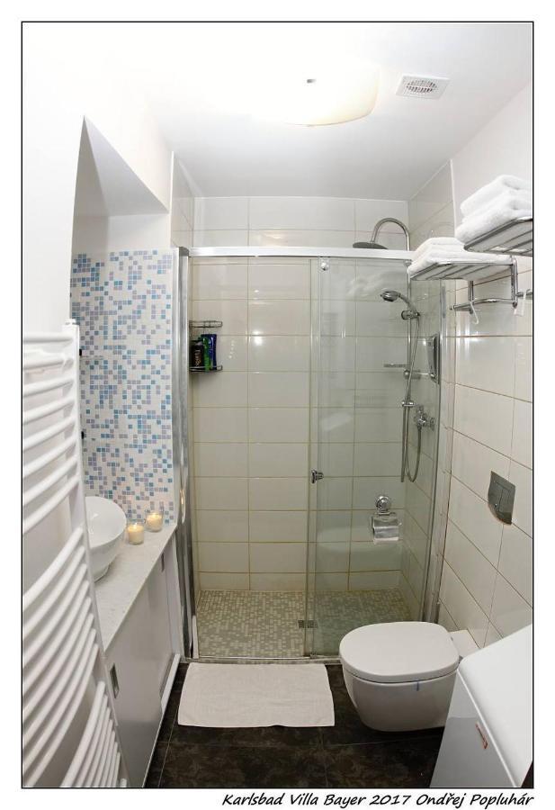 Apartman Vila Bayer カルロヴィ・ヴァリ エクステリア 写真