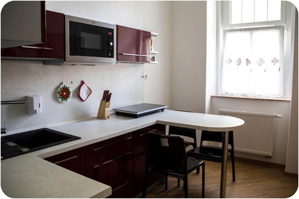 Apartman Vila Bayer カルロヴィ・ヴァリ エクステリア 写真
