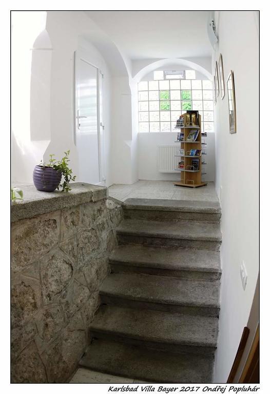Apartman Vila Bayer カルロヴィ・ヴァリ エクステリア 写真
