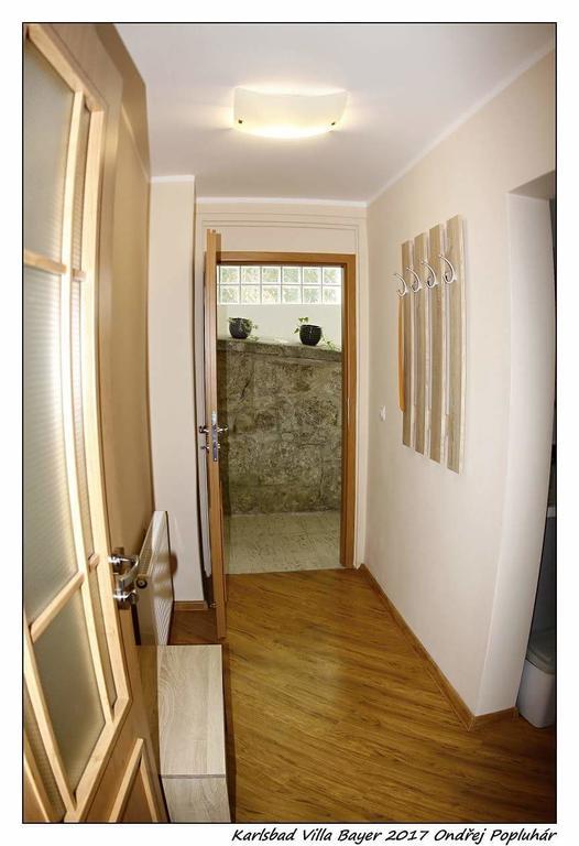 Apartman Vila Bayer カルロヴィ・ヴァリ エクステリア 写真