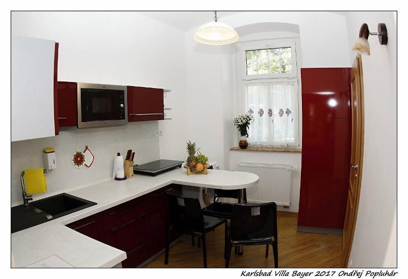 Apartman Vila Bayer カルロヴィ・ヴァリ エクステリア 写真